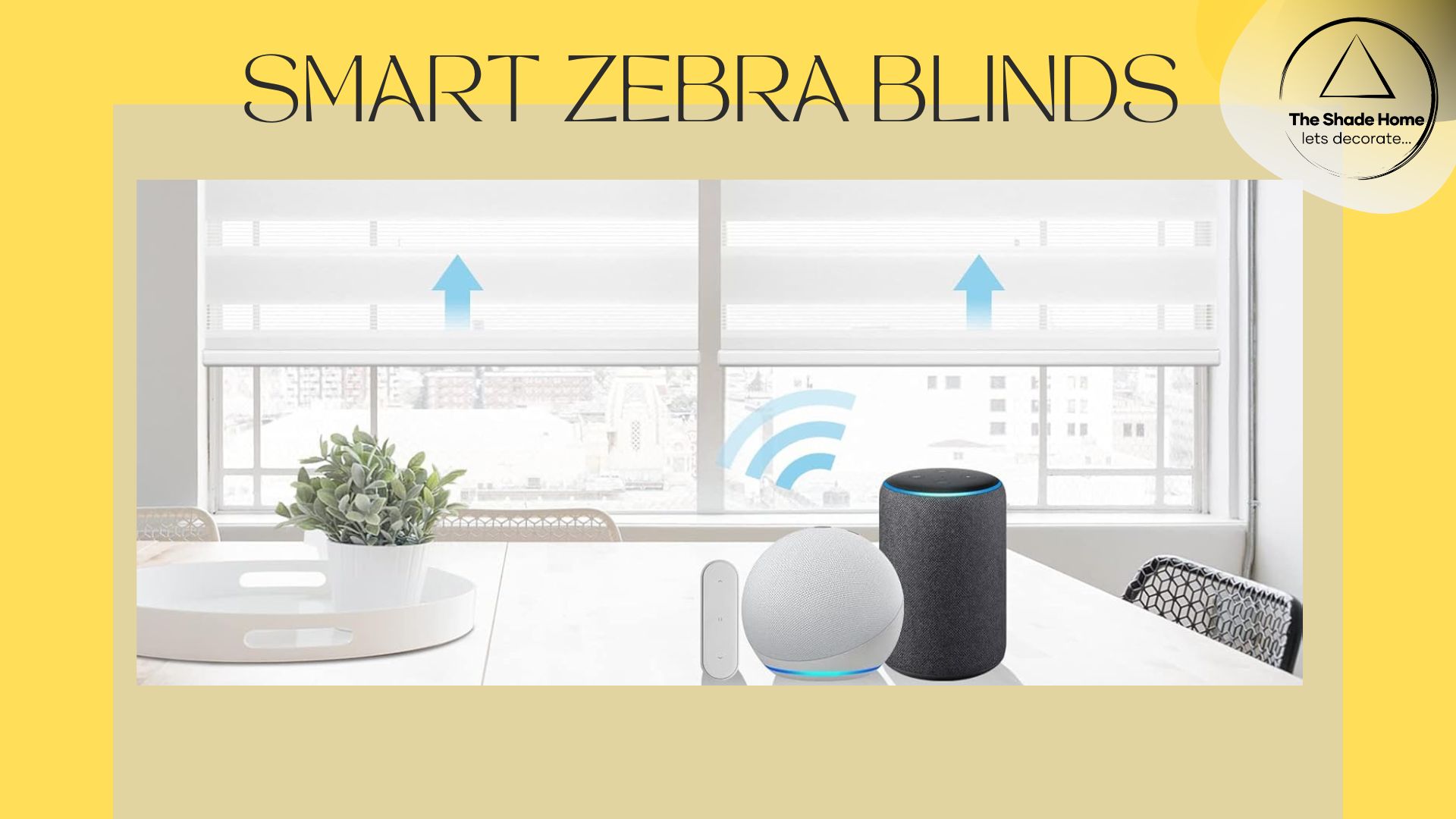 Smart Zebra Blinds by The Shade Home